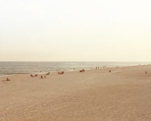 FKV_T. Paglen_NSA-Tapped Fiber Optic Cable.jpg