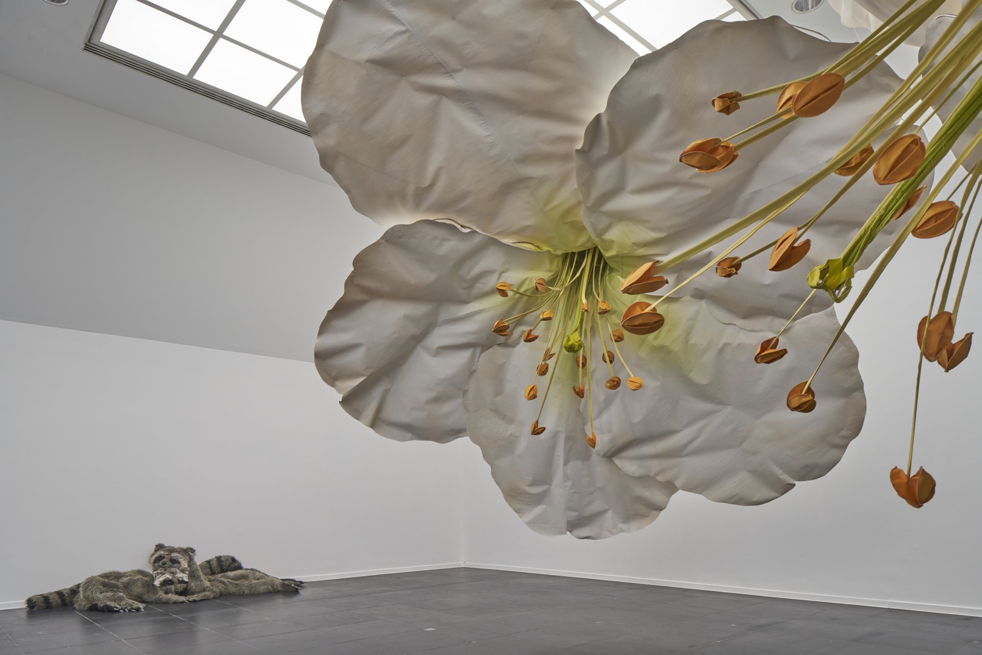Petrit Halilaj lvaro Urbano Frankfurter Kunstverein